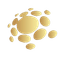 Aziome